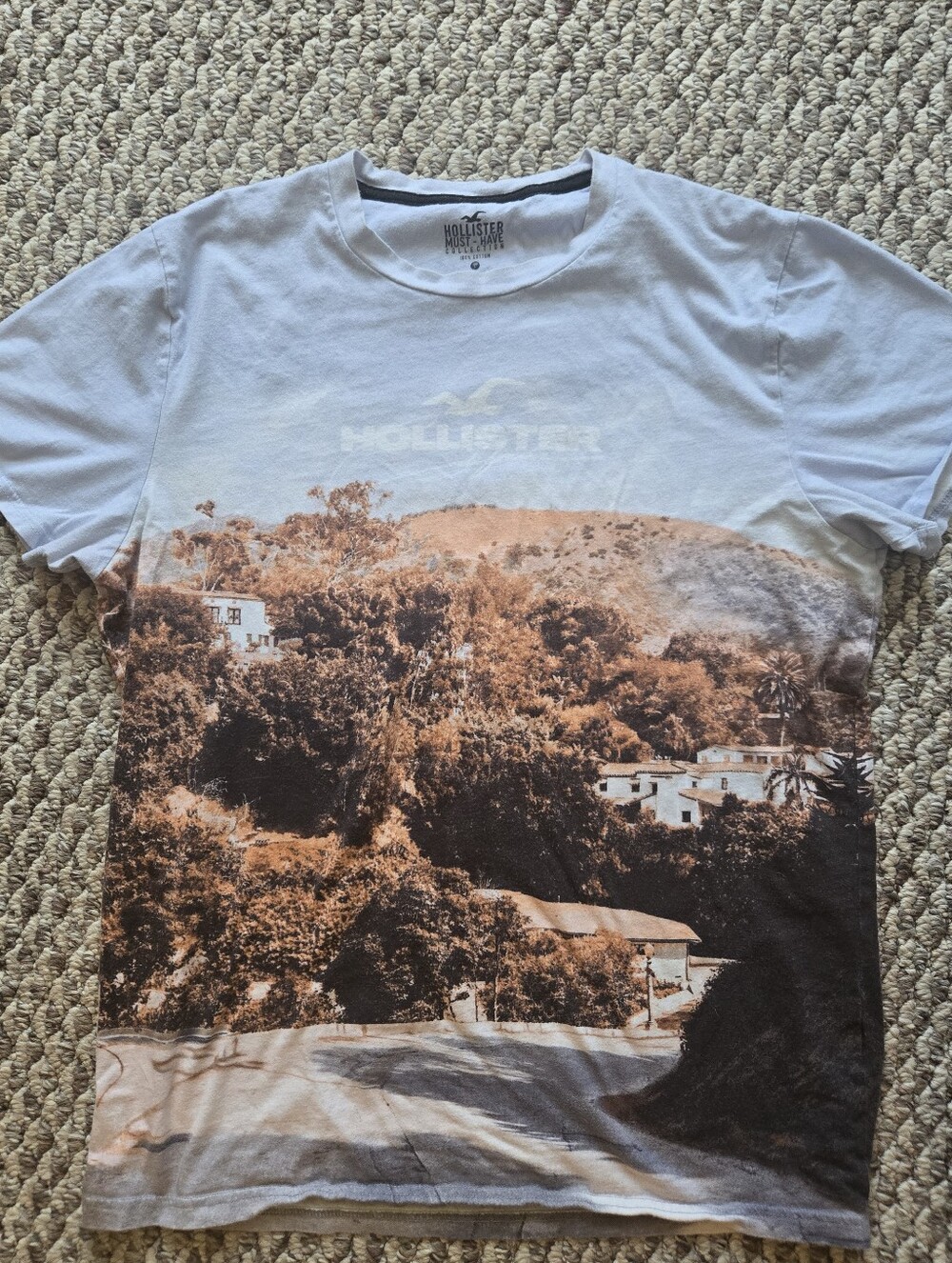 Hollister Men’s Must Have Collection Scenic Print Crew Neck T-Shirt - L